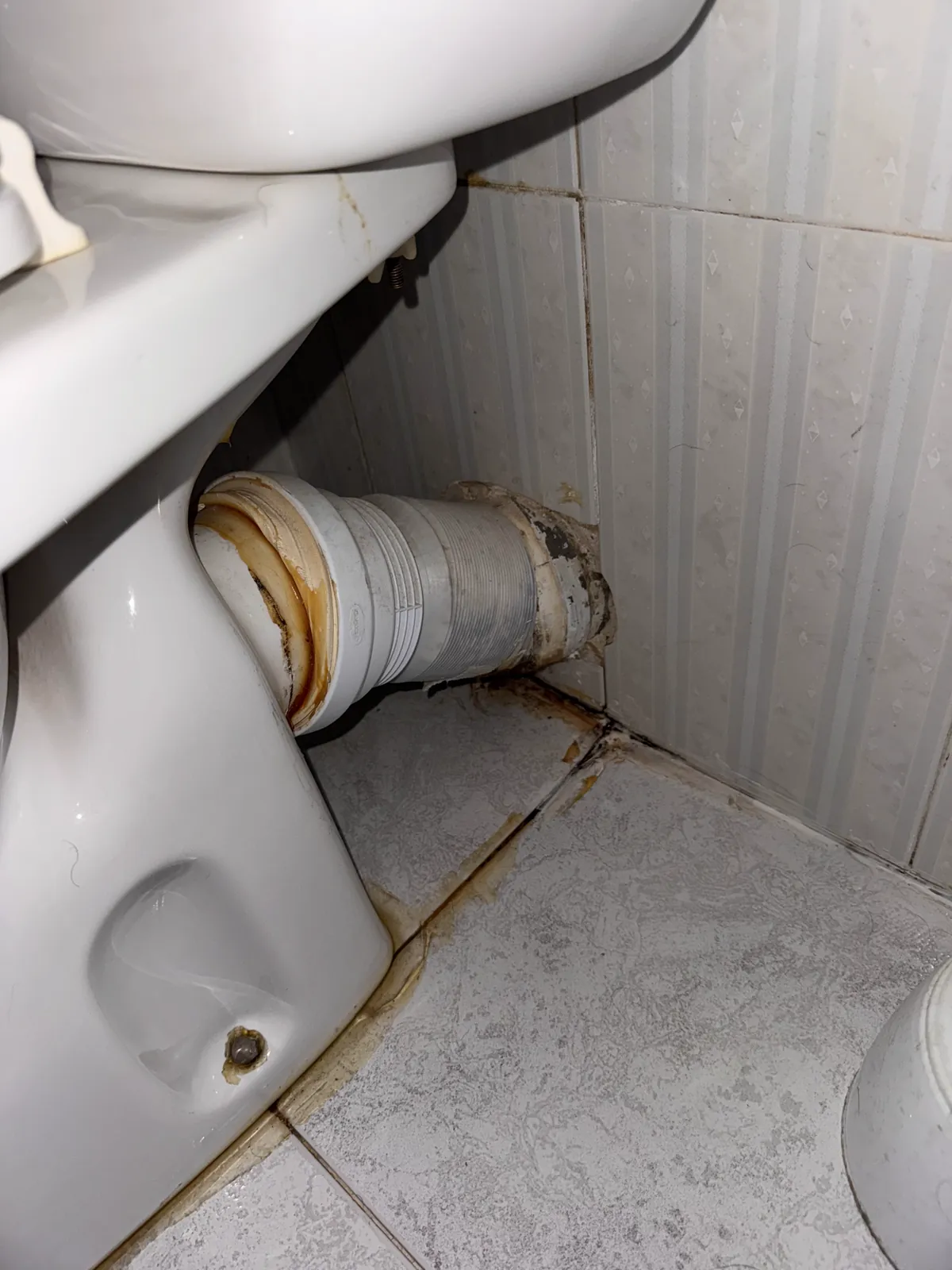 Conexión de desagüe del inodoro durante su revisión